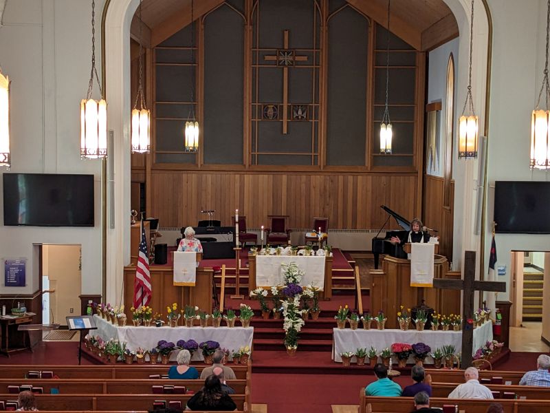 A Message from Rev. Pam